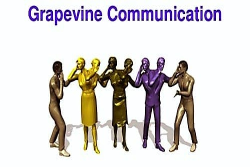 Grapevine-Communication_870x580